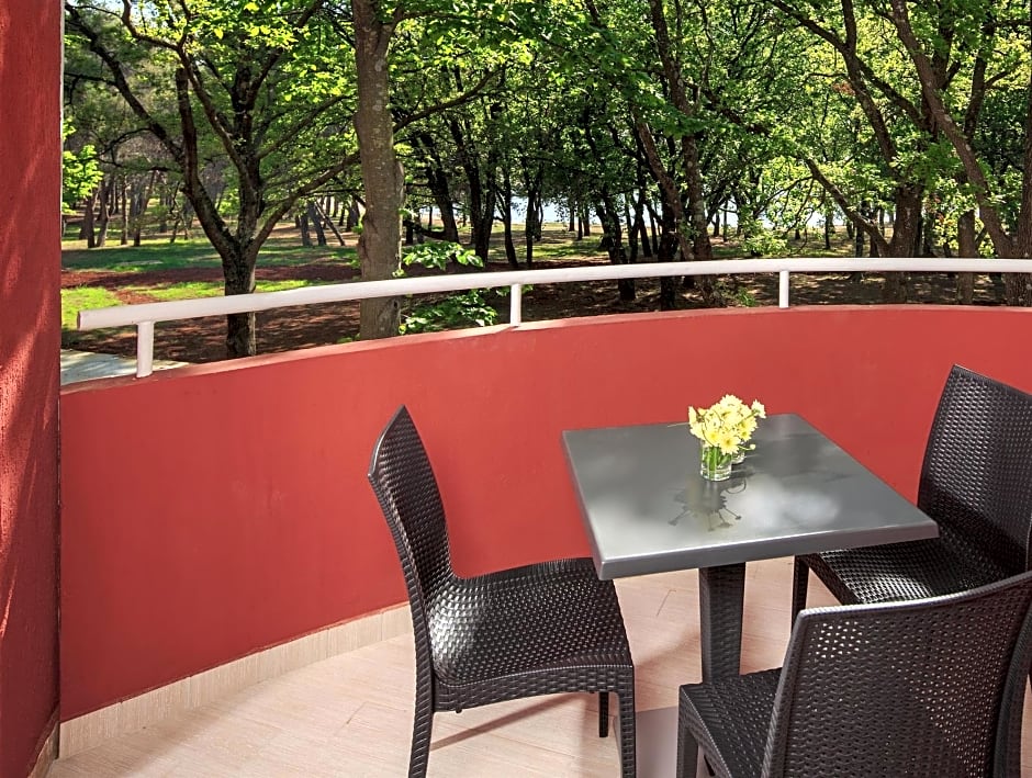 Apartments Sol Amfora for Plava Laguna