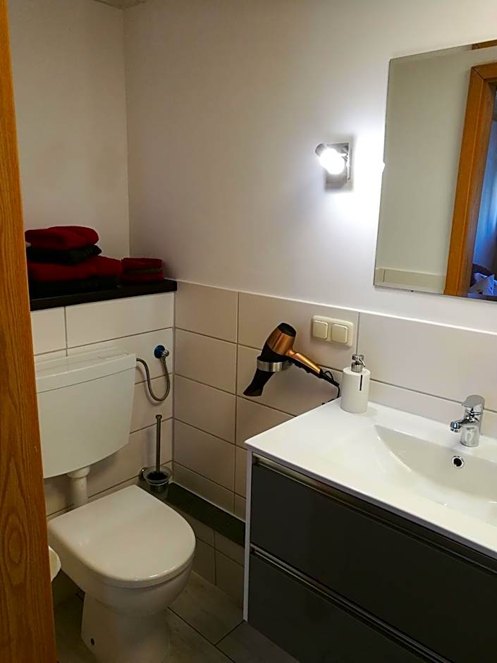 Elbhangzimmer Dresden