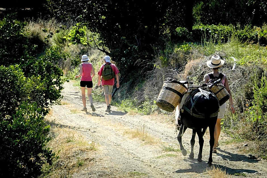 Enagron Ecotourism Village