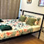 Figueira Guest House in Beira Minho