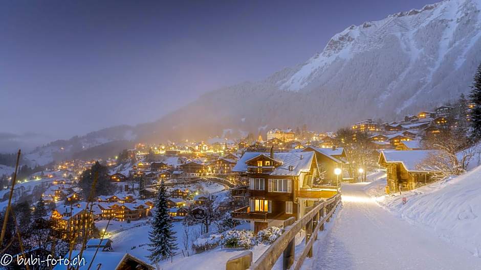 Alpenkräuter Hotel Bären