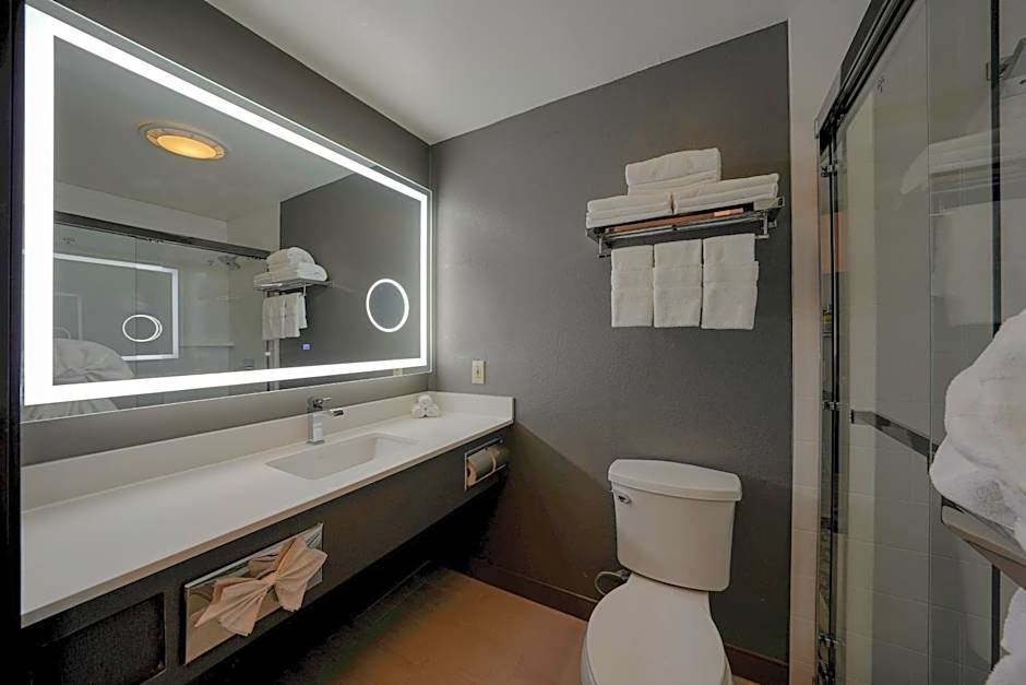 Holiday Inn Express & Suites Santa Clara - Silicon Valley By IHG