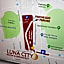 Luna City
