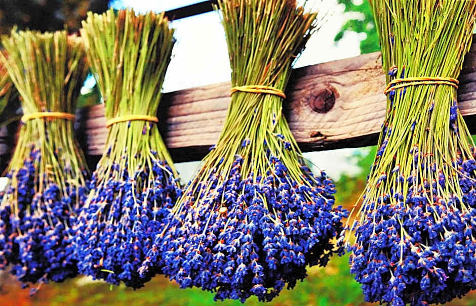 Koszarka Venue & SPA