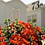 Hotel Villa Platani