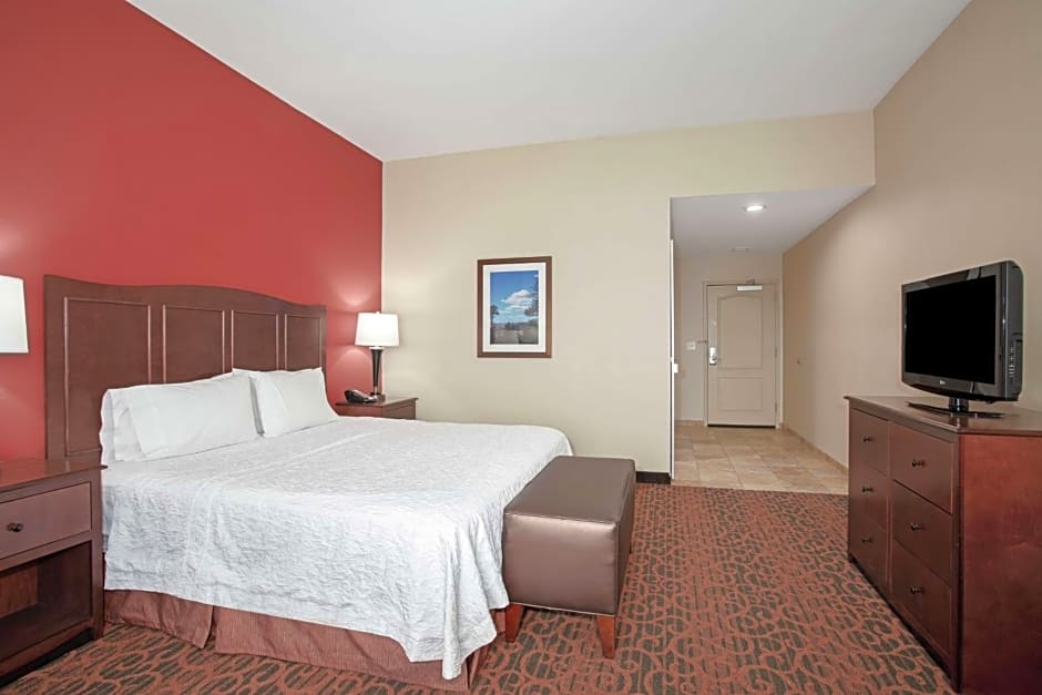 Hampton Inn By Hilton And Suites Denver/South-Ridgegate, Co