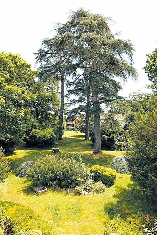 La Maison du Saula