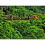 River Side Arashiyama - Vacation STAY 86031v