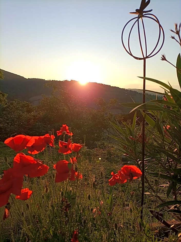 Piccolo Gesto d'Affetto