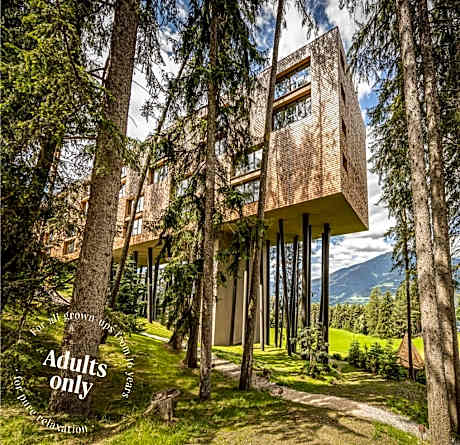 My Arbor - Dolomites