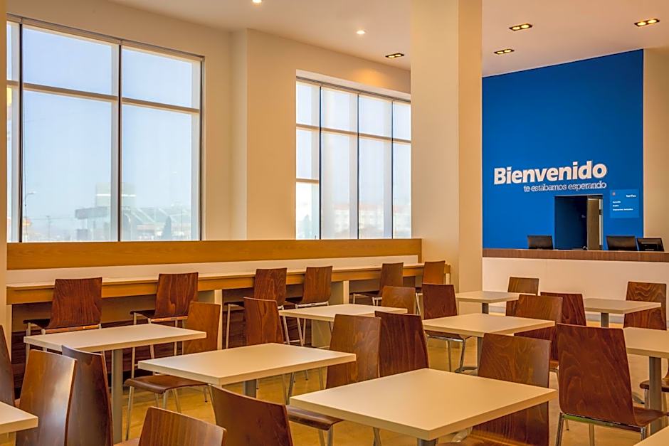 One Chihuahua Fashion Mall