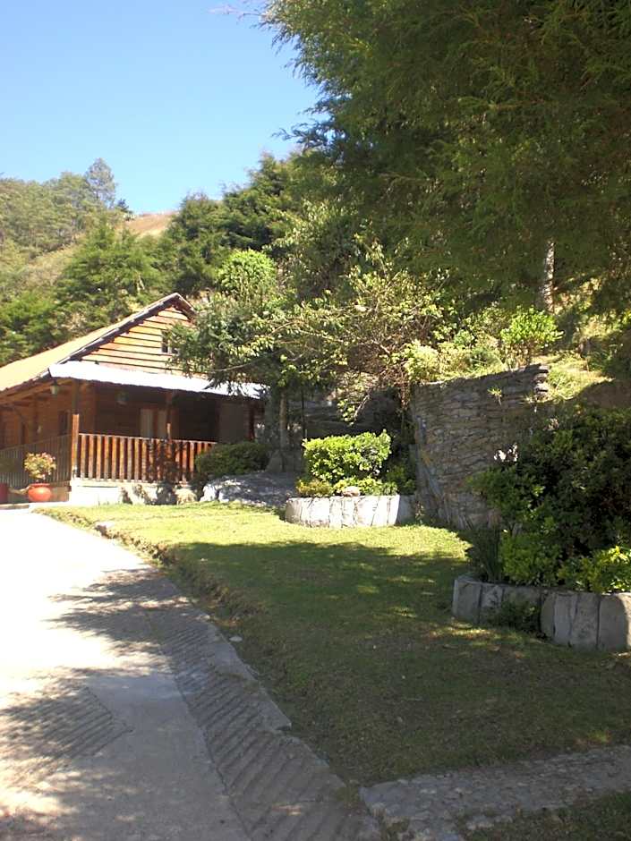 Cabañas 5 Pinos