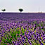 Studios Nuitée en Provence