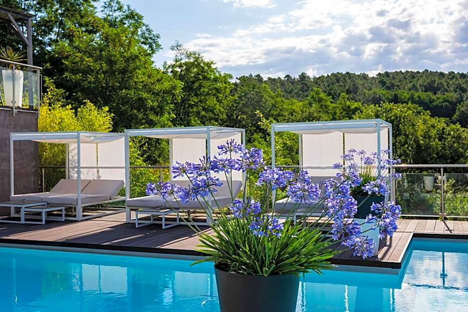 Domaine de Chalvêches Hôtel SPA 4*