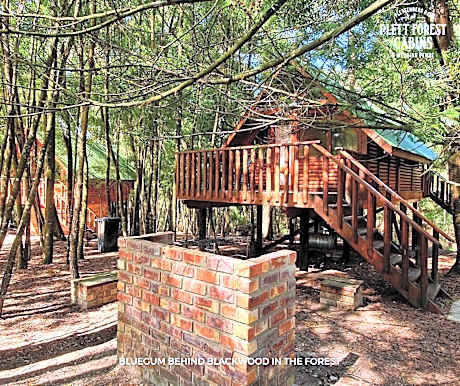 Plett Forest Cabins