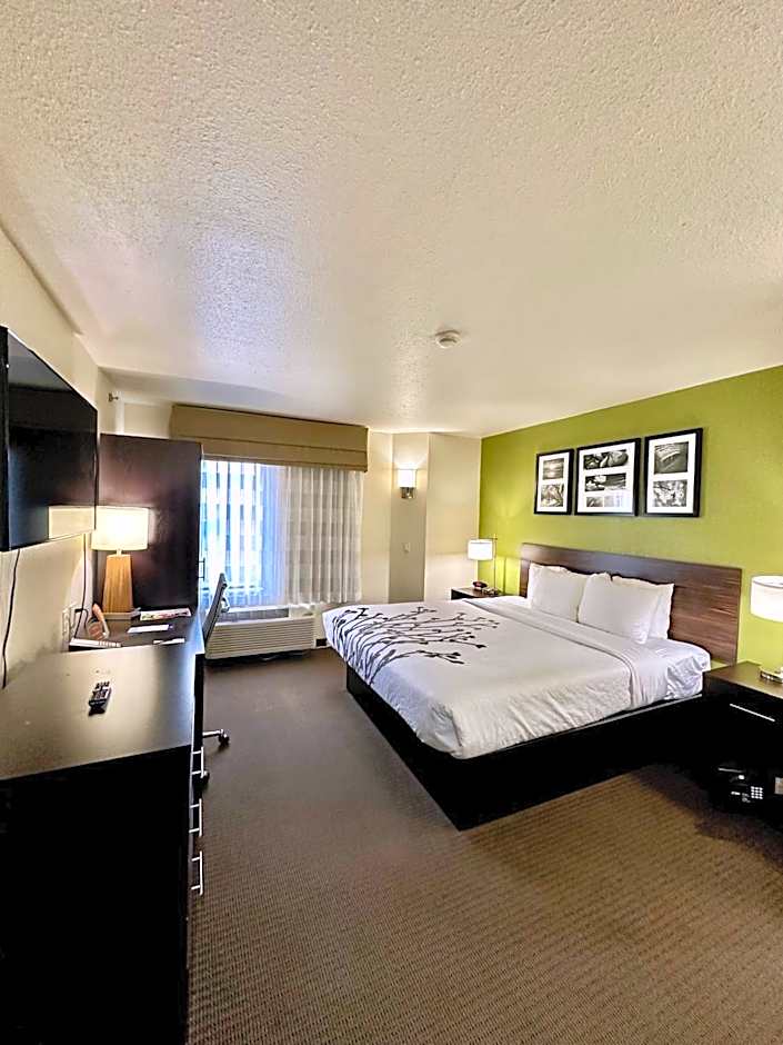 Sleep Inn And Suites Central / I-44