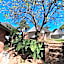 Magoebaskloof Mountain Lodge