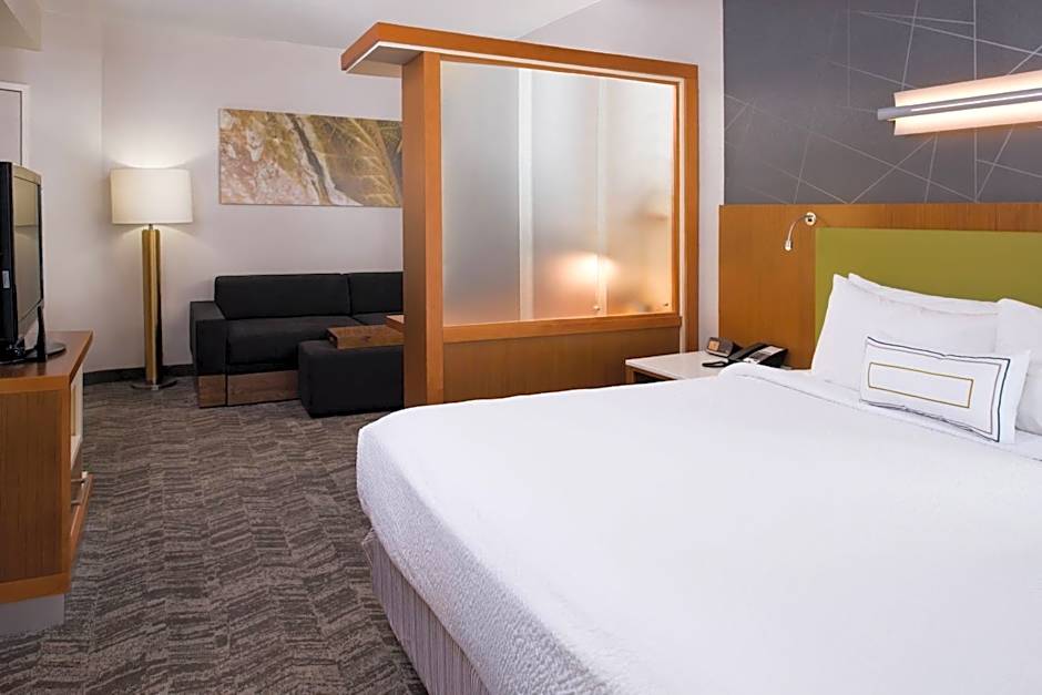 SpringHill Suites by Marriott Huntsville Downtown