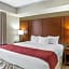Comfort Suites At Virginia Center Commons