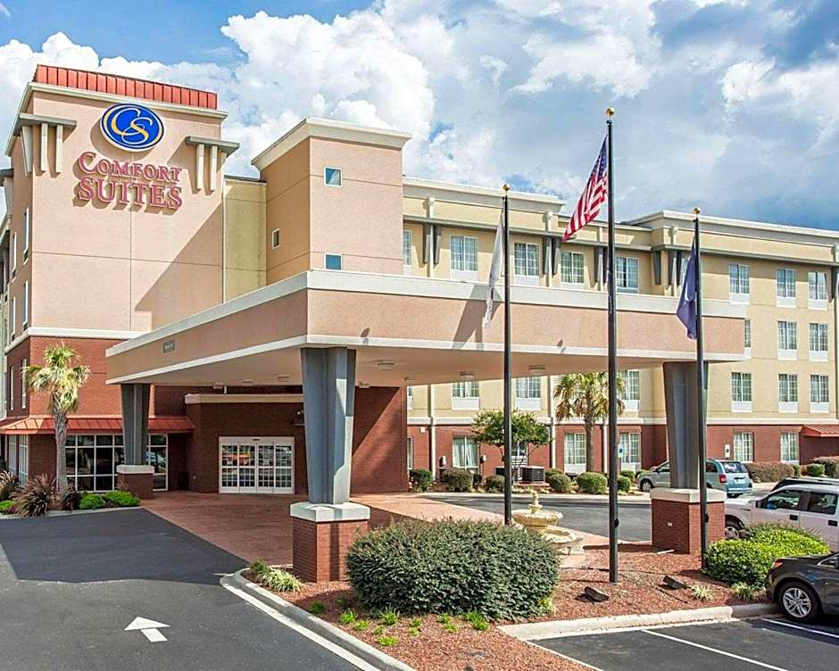 Comfort Suites Rock Hill Manchester Meadows Area