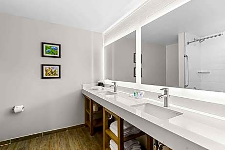 Superior Queen Suite with Sofa Bed - Non-Smoking