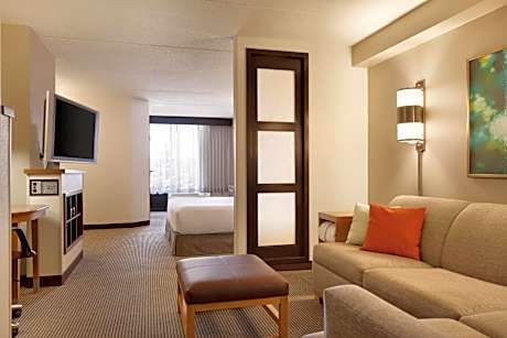 King Room with Sofa Bed