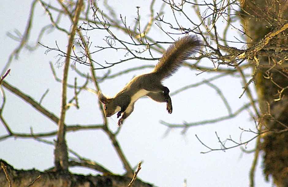 Tomuraushionsen Higashi Taisetsuso