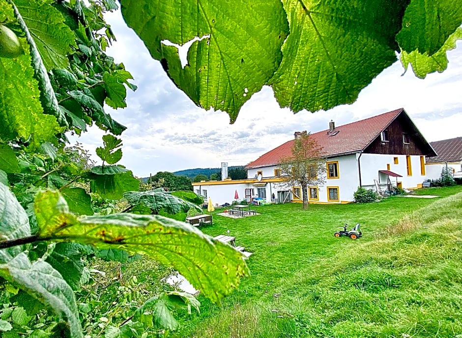 Hôtel Restaurant Les Cernets Swiss-Lodge SSH