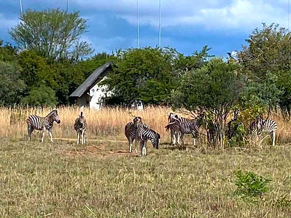 Zebula Golf and Wildlife Estate - Spectacular View Pax 13 - Moi Signature Luxury villa