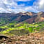 Manexenea