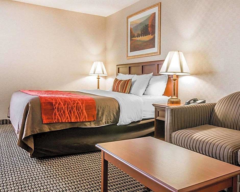 Comfort Inn Utica