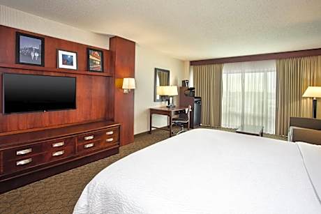 Standard King Room with Sofa Bed