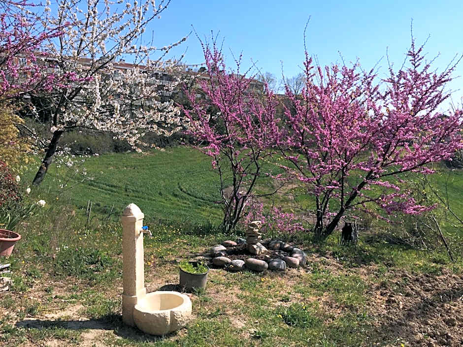 Green B&B Urbino Cá del vento