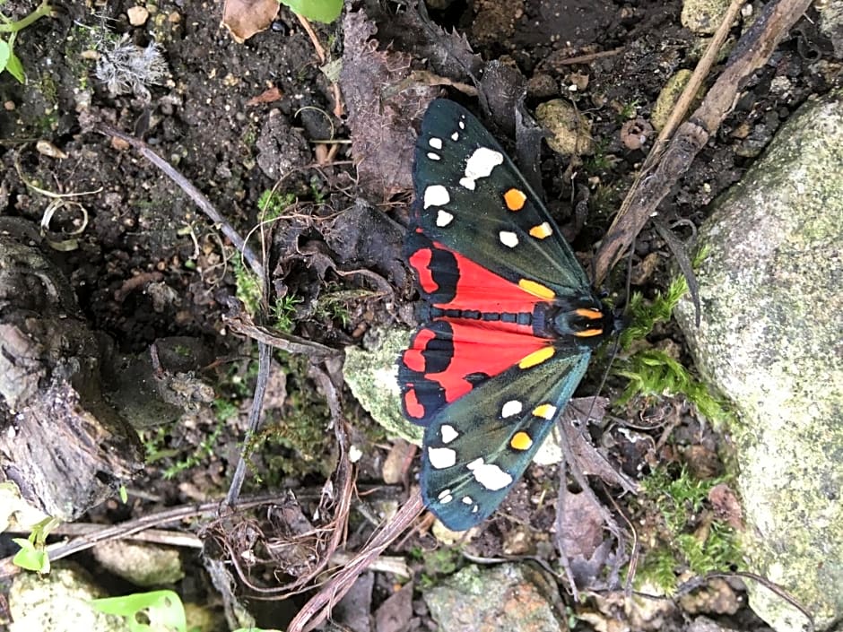 Field End House Strawberry Lane Meysey Hampton