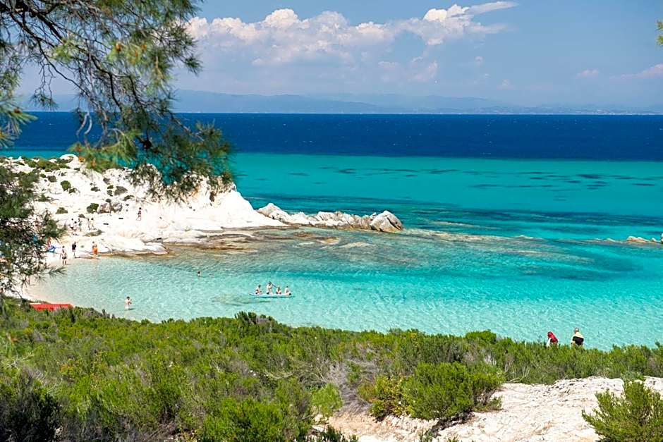 VSP RENT ROOMS FUeGO