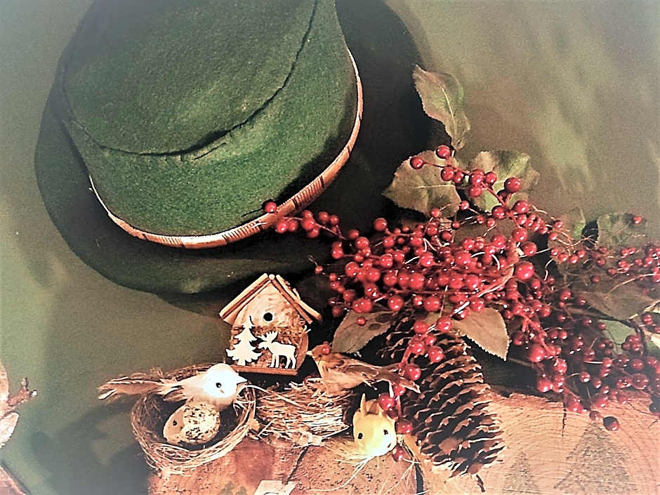 Aparthotel El Refugio de Aran Vielha