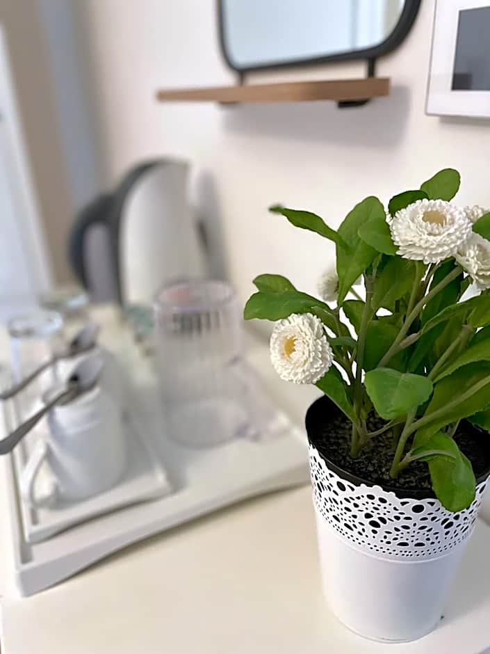 The Queen's Head Hotel