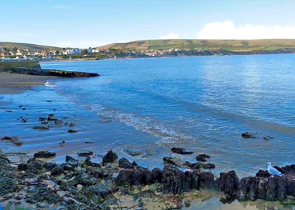 Swanage Coastal Park