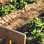 Hacienda Los Olivos, Valle de Guadalupe