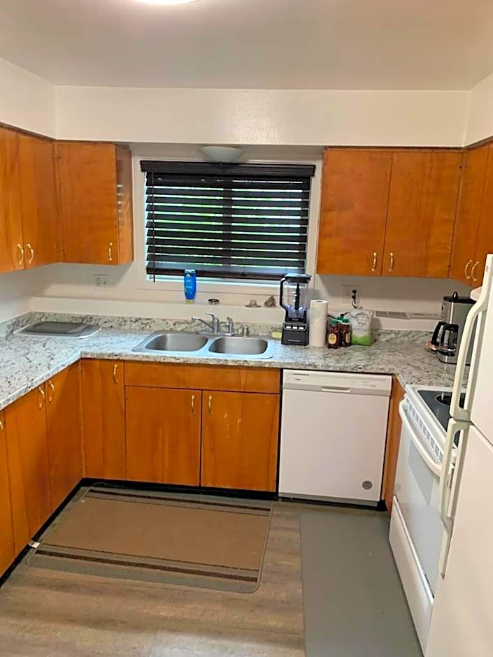 410 e45th 2 bedroom apartment