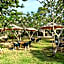 SAii Phi Phi Island Village - Complimentary Shared Speedboat Transfer for 5 Nights and Longer