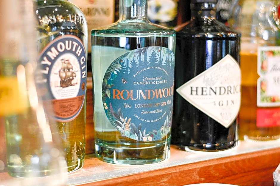 The Elm, Abbots Ripton