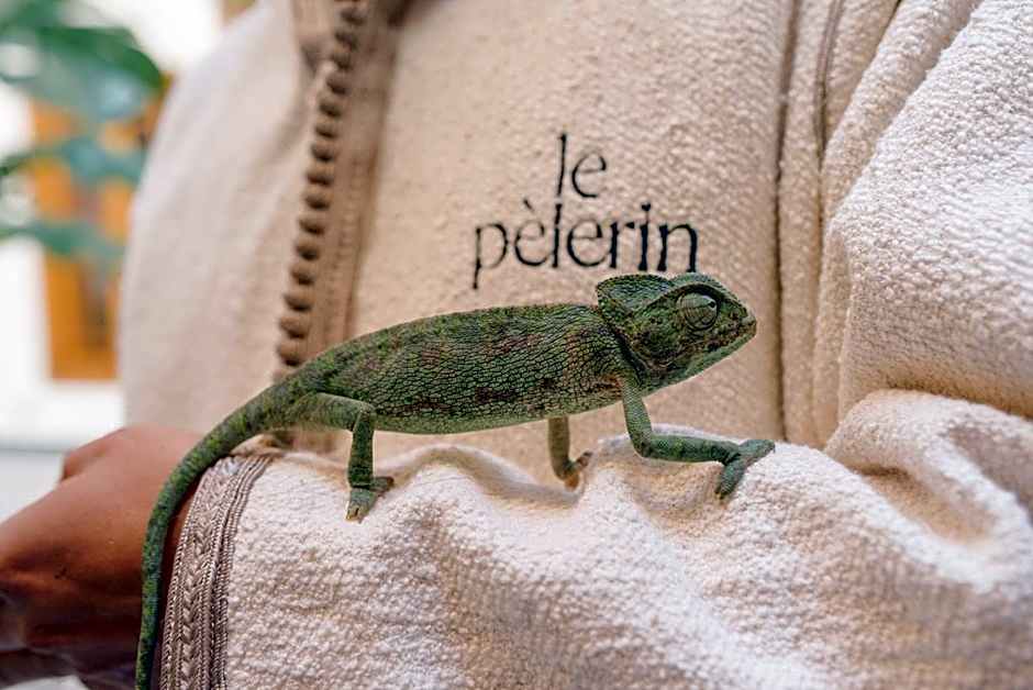 Riad Le Pèlerin