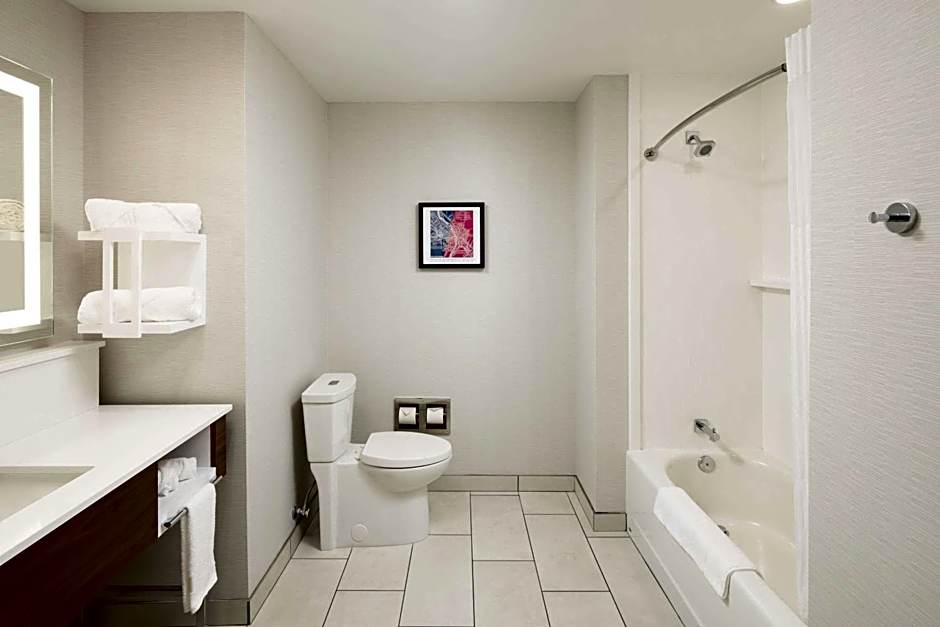 Hampton Inn & Suites Rochester Downtown