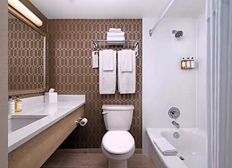 Traditional Room 1 King Bed