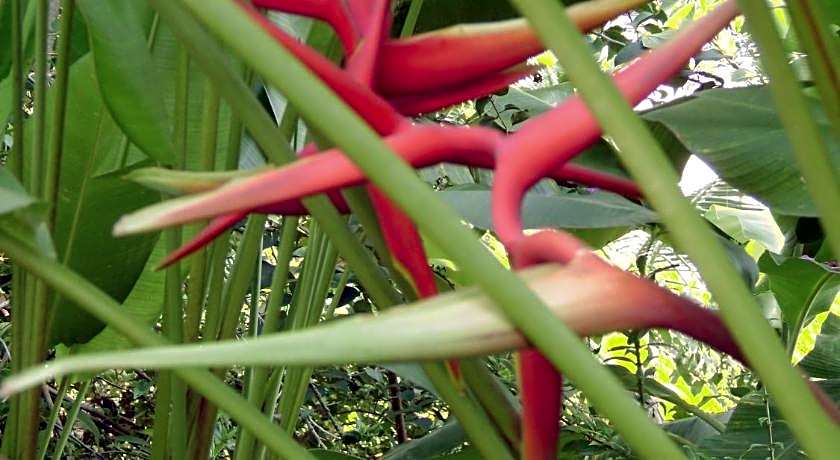 Chez Charly Bungalow