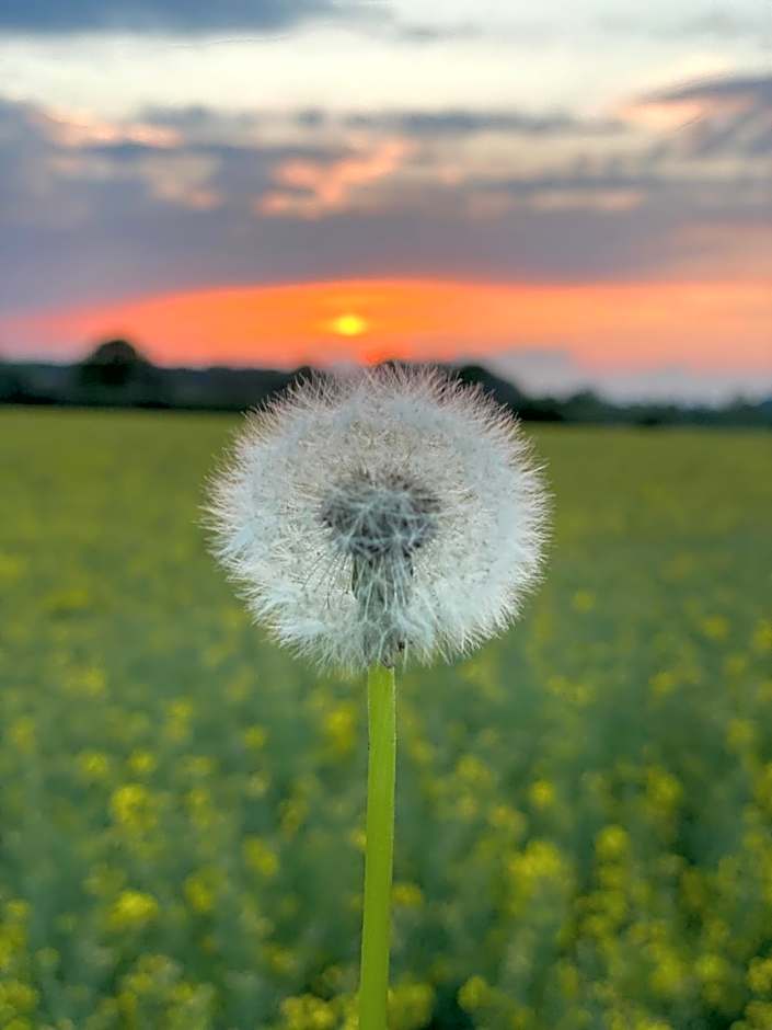 GSand Le Clos du May