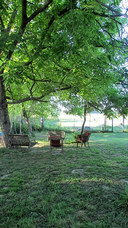 B&B La casa dei prugni