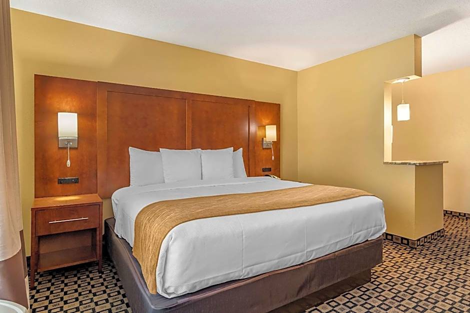 Comfort Inn & Suites Athens