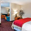 Comfort Inn Avon-Indianapolis West